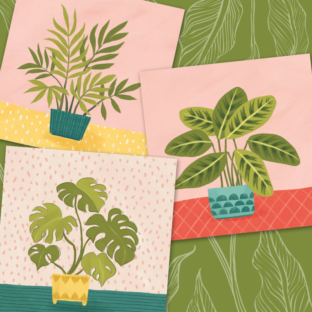 three plant cards